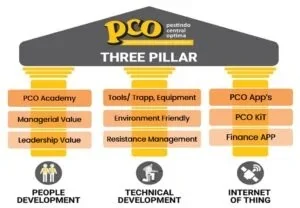 People, tools, and digital service development