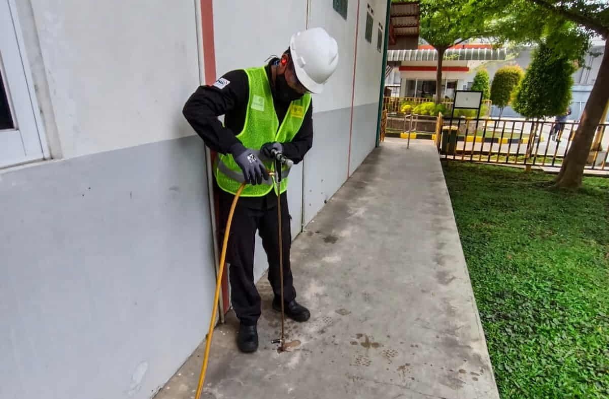 Survey gratis jasa anti rayap Jakarta