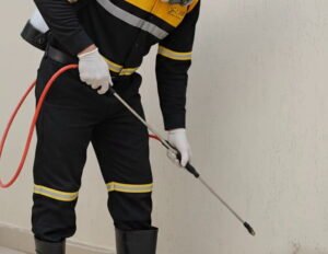 Survey gratis jasa anti rayap Jakarta