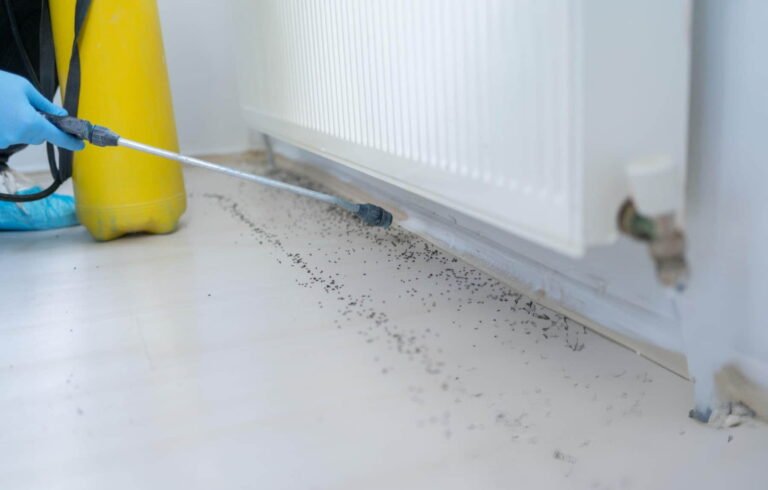 jasa anti rayap surabaya